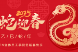辭舊迎新，蛇舞華章丨深圳容金科技全體員工祝您新春快樂！