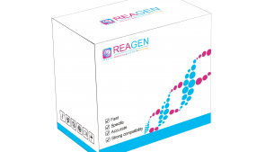 對(duì)蝦副溶血性弧菌恒溫核酸檢測(cè)試劑盒（免提?。? height='100'>
			</a>
		</figure>
		<h4 class=