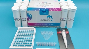 氯霉素免疫膠體金快速檢測卡